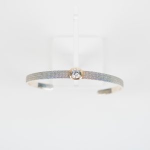 PEscr_0005-2