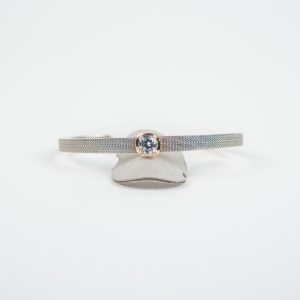 PEscr_0005-4