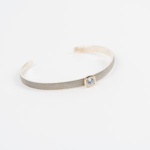 PEscr_0005-6